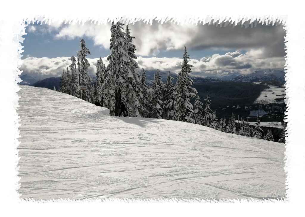 Mt Washington